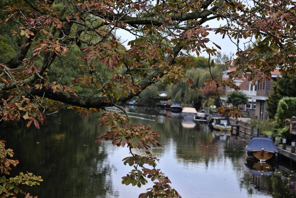 Autumn is coming Amsterdam, the Netherlands.