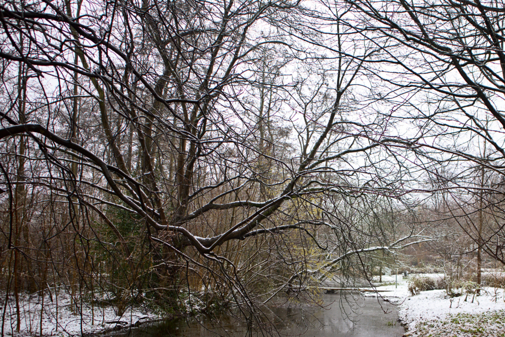 A bit of snow at the Amstelpark Amsterdam, the Netherlands.