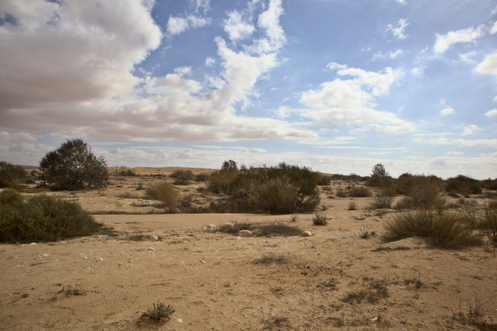 The Negev desert, Israel.